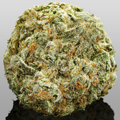 !! PINK DANK SCHRADER 39%THC *SUPER EXOTICS* EXOTICS $200/OZ (2OZ$400)