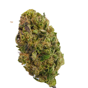 BC (AAA+) PURPLE KUSH  thumbnail 2