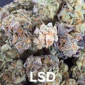 LSD Sativa Dominant