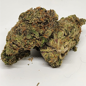 Critical Hog AAAA