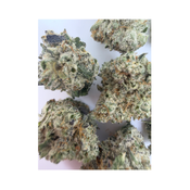 BLUE LOBSTER SMALLS LSO  thumbnail 2