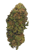 BC (AAA) JUNGLE MINTS thumbnail 4