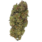 BC (AAA+) PURPLE KUSH  thumbnail 2