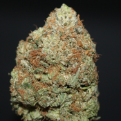 AAAA+ | KANDY PINK BY GAS STATION BOYS - 3.5G
