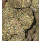 FUNKY SKUNK(kraft kronic) 🔥🔥🔥🔥🔥 