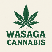 WASAGA CONNECTION