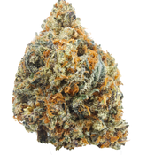 *ALERT NEW STRAIN* BC (AAAA+) BLACK FOREST CAKE thumbnail 3