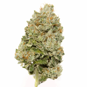 $45 OUNCE DEAL  -   Blueberry 