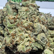 (NEW) Pot Of Gold  🔥$70/oz🔥 thumbnail 3