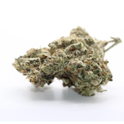 Cactus Breath - AAAA 