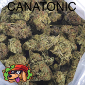 CANATONIC AAA+ - 2 FOR $80 - 4 FOR $150 - 8 FOR $250