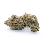 Pink Bazooka - Premium AAAA ⛽️⛽️