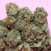 ( 3 oz for $155 ) Power Plant 🌱 🔥 ( Budget Oz )