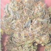 SUPER PINK 150OZ  2FOR$280 4FOR$540