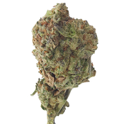 BC (AAA) PERMAFROST