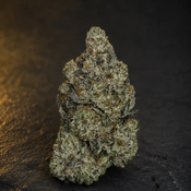 !$155/oz Greasy Pink
