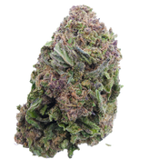 BC (AAA+) PURPLE KUSH 