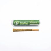 Chemband - Infused Pre-Rolls - 1G
