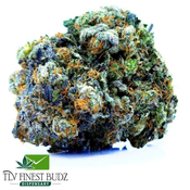 #Black Gas[AAAA+]