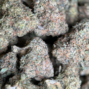 (28G) - Apple MAC 🎰🍎Indica - 2Oz Bulk Deal for $150 thumbnail 3