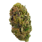 BC (AAA+) PURPLE KUSH  thumbnail 3