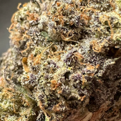 (Exclusive) Ripped Off Runtz  👾 🔥 Frost Factory Cold Cured Quads – (Hybrid) (14 Grams) thumbnail 2