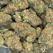 Grape Icing INDICA 🧁 🍇 $100 an oz, $150 for 2 ozs thumbnail 2