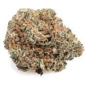BC Mk Ultra – 14G | 60$ – 28G 95$ – (GAS)