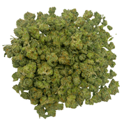 AAAA Bubble Gum Gelato thumbnail 2