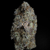 (NEW) Pink Wagyu AAAA+ OZ 140 2OZ 260*