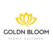 Goldn Bloom - Perris
