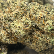 (NEW) Granddaddy Purp **$120oz** thumbnail 2