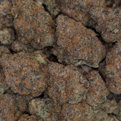 Hindu Kush | INDICA | 28-32% THC | $100 an oz | $150 for 2 ozs | thumbnail 2