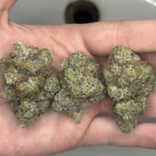 !$105/oz Pink Magnum 80%indica. 20% sativa