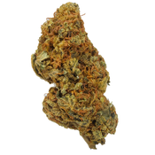 BC (AAA) PINK ROCKSTAR 