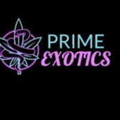 PRIME EXOTICS ⬇️ 1HR  247