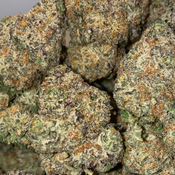 Dosi Gelato(2 ozs for 180)