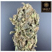 14g - ALIEN TITS - 2oz for $100 (AAA)