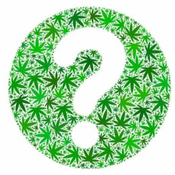 ****NEW STOCK* $120 MYSTERY OZ DEAL❔
