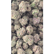 BLUEBERRY MIDS/SMALLS AAAA 100OZ 2FOR180 4FOR340 thumbnail 2