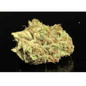 FIRE COOKIES - Upto 26% THC - Special Price $115 oz!