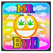 MrBud
