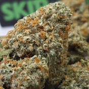 (NEW) Durban Poison 🐍 ($85/Oz 2x 0z For $150) 🔥 🔥 thumbnail 2