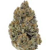 $200 FOR QP - Tom Ford 