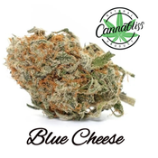 Blue Cheese  | ★★★☆☆ | THC Level 24-26%| Indica