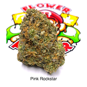 “AAAA” Pink Rockstar