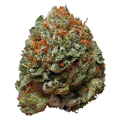 Bruce Banner (AA) / Special OZ Price