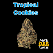 TROPICAL COOKIES🔥🔥🔥🔥🔥