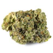 ORANGE VELVET thumbnail 1