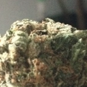 Double og kush 